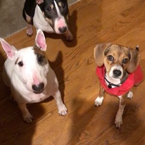 Meet your Posher, Julie